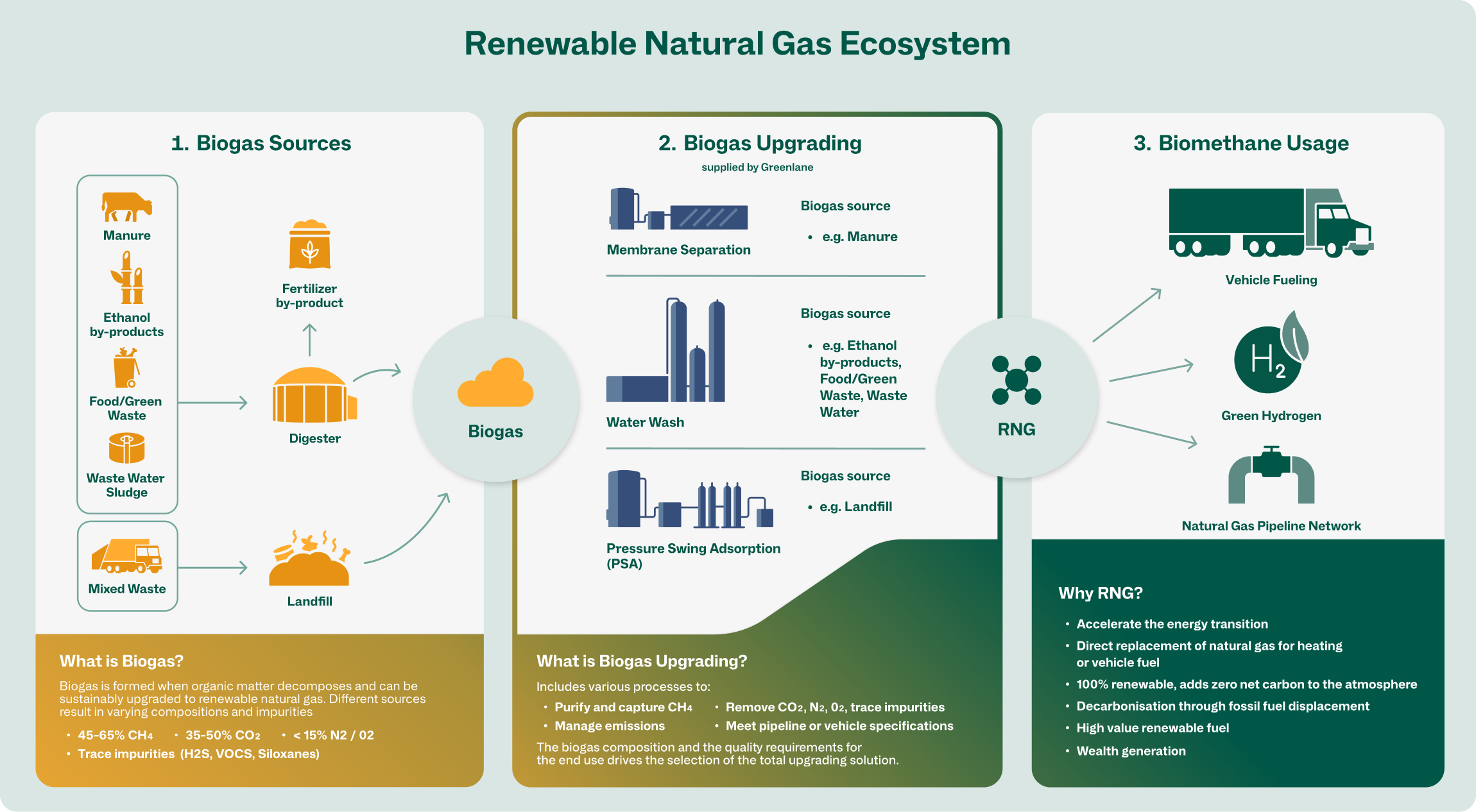 Greenlane_Infographic Greenlane_Infographic
